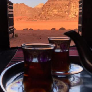 Desert Tree camp&tours - 5