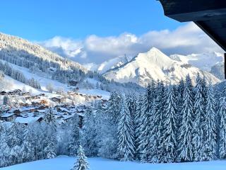 chalet Amitie familial de luxe avec JACUZZI, à 150 m des pistes de ski de la Turche, Parking privé, WIFI fibre, cheminée avec bois, - Les Gets - 1