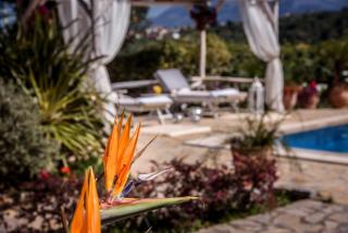 Villa Kalithea - Elegant Secluded Villa - Pemónia - 2