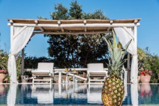 Villa Kalithea - Elegant Secluded Villa - Pemónia - 9