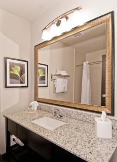 Holiday Inn Austin Airport by IHG - Austin - 7