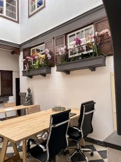 Gato Azul - Coliving - La Orotava - 1