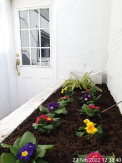 Happy, Cozy, Fun, Loving suite in West Vancouver - West Vancouver - 9