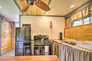 Idyllic Pahoa Paradise Hike, Swim and Explore! - 5