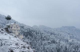 Vatsalyam Serviced Apartments - Shimla - 6