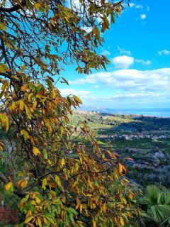 Etna panoramic villa with swimming pool - SantʼAlfio - 8
