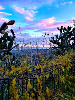 Etna panoramic villa with swimming pool - SantʼAlfio - 7
