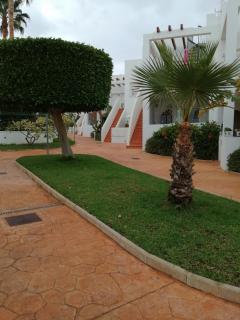 Apartamento de Palomares CUEVAS DEL ALMANZORA - Cuevas del Almanzora - 5