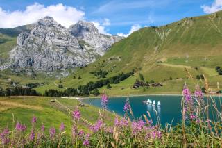 Studio Forclaz - Le Grand-Bornand - 2