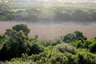 Christiana Lodge - Plettenberg Bay - 8