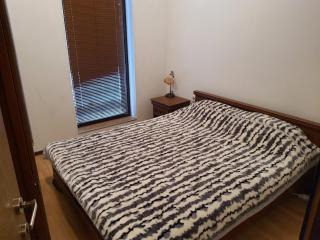 Homey 1-bed condo, fastest internet, free parking - Bansko - 4