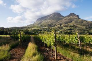 Banhoek Lodge - Stellenbosch - 5