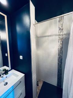 Brive centre, superb appartement en face du Marché Primé - Brive-la-Gaillarde - 9