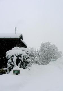 La Ferme des Cousines - Saint-Sigismond - 4