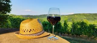 Bed & Tours Dimora di campagna - 1