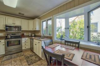 A Beautiful View & Carriage - Lake Junaluska - 4