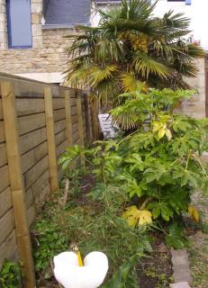 Maison proche plages, tous commerces - Arzon - 1