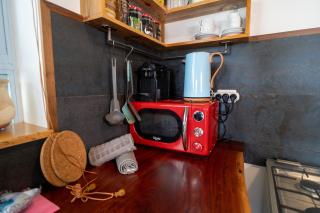 צימרים בצפון - עץ נוי - 2