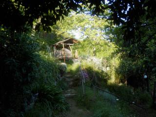 Green Man yurt - Penela - 2