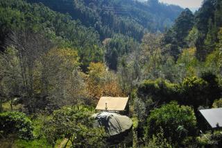 Green Man yurt - Penela - 0