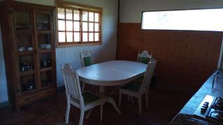 Raizando Ecologia Humana - 6