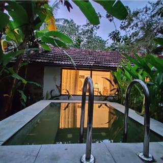 Sunsets and Palm Trees - Alleppey - 2