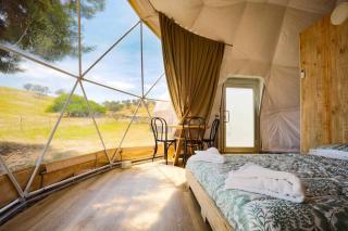 Hillview Farmstay - Gundagai - 3