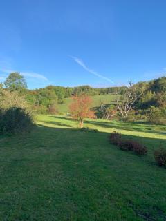 Forsthaus in Waldhessen - 6