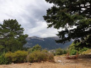 Gite Talassemtane - 1