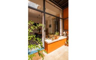 un oasis au coeur de la vieille ville, classé 4 étoiles - Montpellier - 9