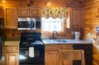 Black Bear Hideaway Cabin - Gatlinburg - 1