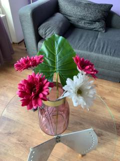 Modern and central Apartment, near Rhein, museums & event venues, fully furnished - Bonn - 4