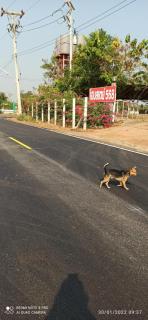 homestay568 Branch 2 - Muang Suang - 6