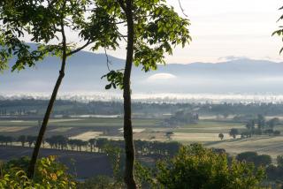B&B Il Grotto - Bevagna - 3