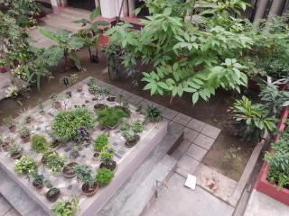 Vatika Homestay - Varanasi - 3