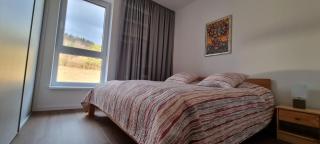 Penthouse apartmán Minerál B-4 - Bardejovské Kúpele - 1