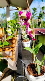 Matilde B&B - La Paz, Carmen - Carmen - 9