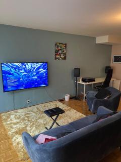 Beautiful Large Studio in center of Geneva Free Wifi - Geneva - 0