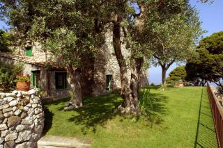 Villa Annunziata di Mavi - Massa Lubrense - 1
