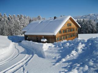 Ferienloft Waldblick - Schwarzenberg im Bregenzerwald - 9