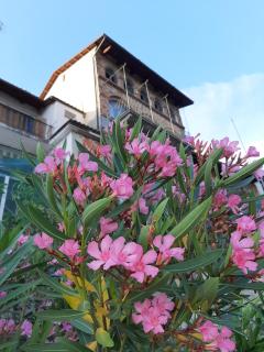 Le Case di Angelina - Langhe Loft & Suites - 2