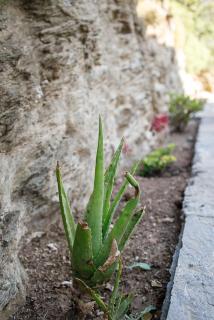 Cycladic Villa with sea view! - Ioulis - 1