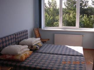 Gulbės Namai - Druskininkai - 9