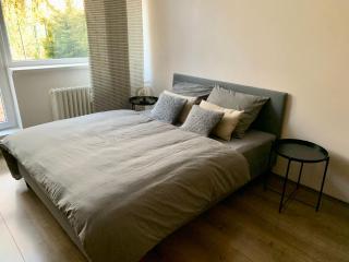 Apartmán Luhačovice - Luhačovice - 9