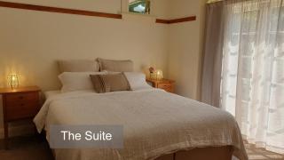 Bluff Hill Bed & Breakfast - Napier - 6