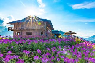 Mu Cang Chai Big view homestay, tour & vegetarian - Mù Cang Chải - 8