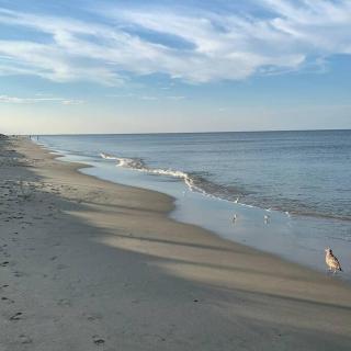 Welcome to the Hidden Reef-brisk walk to the beach! - Frederica - 0