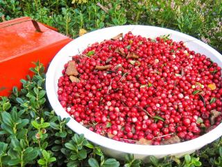 4 person holiday home in RÄTTVIK-By Traum - 2