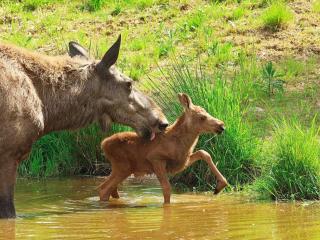 4 person holiday home in RÄTTVIK-By Traum - 3