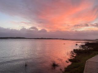 Pinecones Cosy B&B - 3